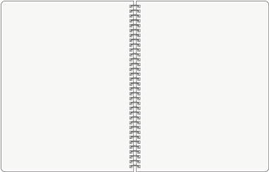 Exec Spiral Bound Size